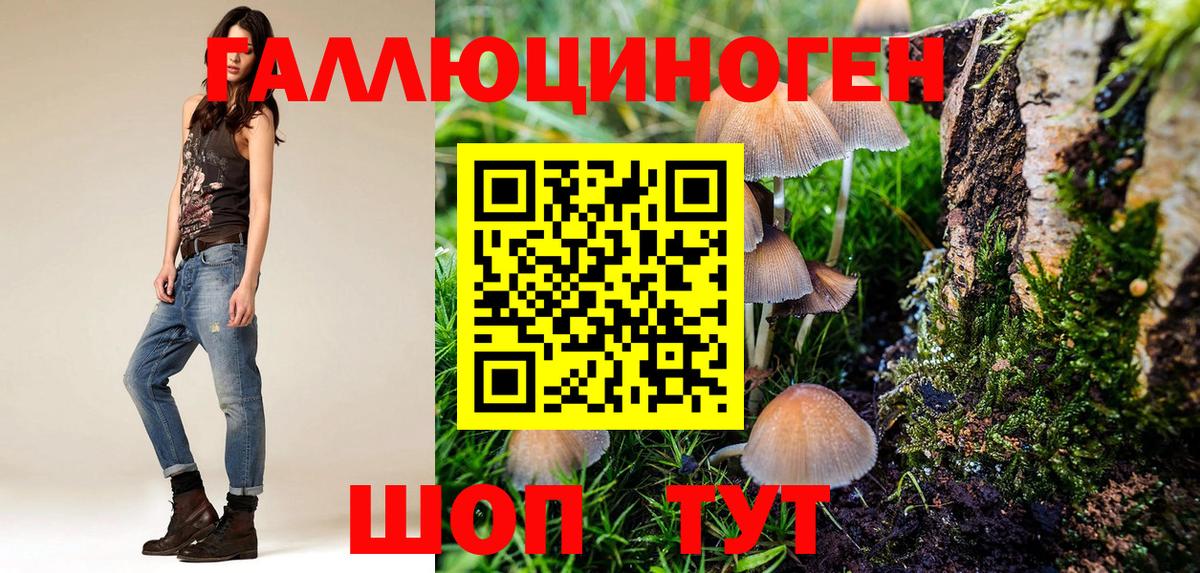 Псилоцибиновые грибы MAGIC MUSHROOMS  Псилоцибиновые грибы мухоморы  что такое наркотик  Елабуга  Вход с VPN 