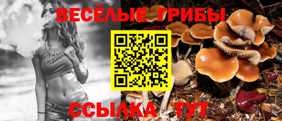 Галлюциногенные грибы MAGIC MUSHROOMS Елабуга