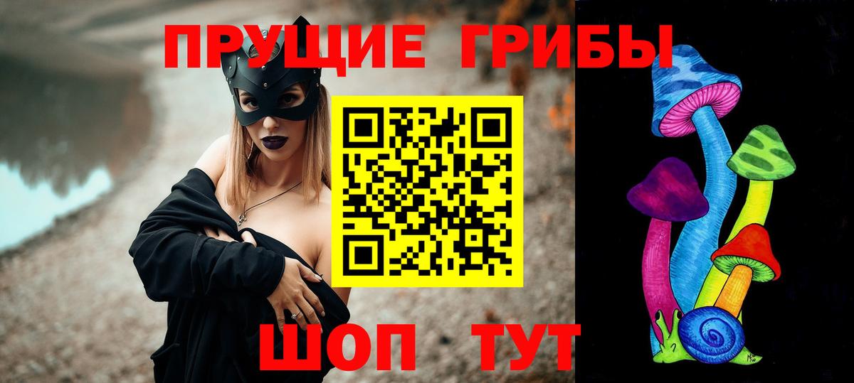 НБОМе Елабуга